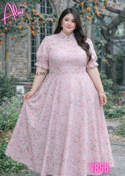 Y856 (10)
